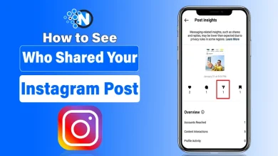 How to See Who Shared Your Instagram Post