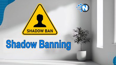 Shadow Banning