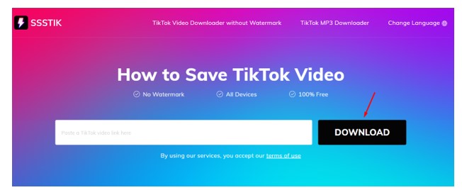 SSSTik TikTok Downloader