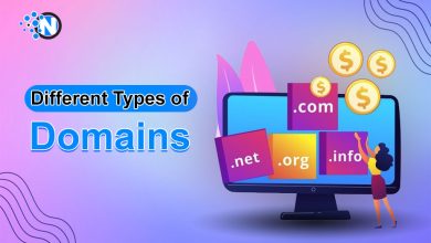 Different Types of Domains