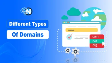 Different Types of Domains