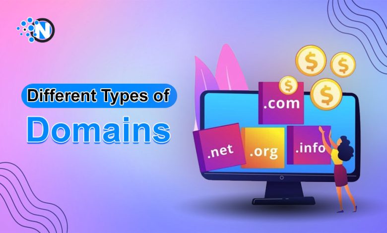 Different Types of Domains
