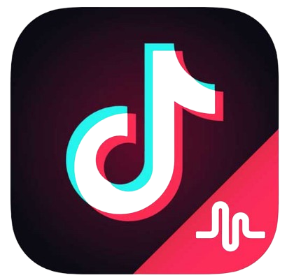 2017 - 2018: TikTok Affiliation with Music.ly
