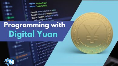 Programming with Digital Yuan