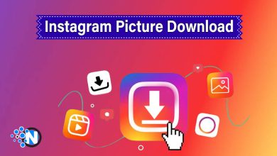 Instagram Picture Download