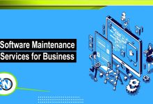 Software Maintenance Services