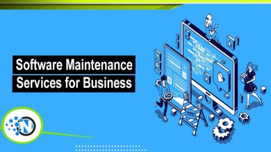 Software Maintenance Services