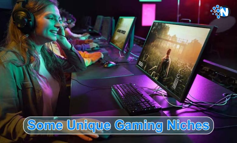 Unique Gaming Niches