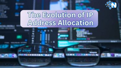 IP Address Allocation