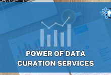Power of Data Curation Services