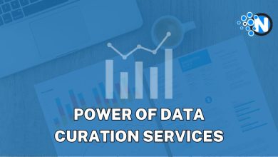 Power of Data Curation Services