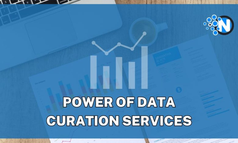 Power of Data Curation Services