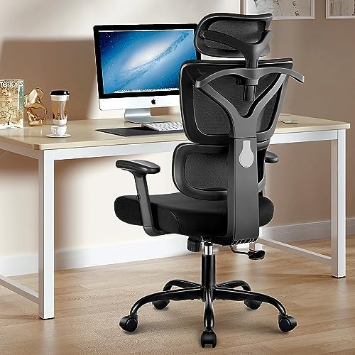Winrise Ergonomic Desk Chair