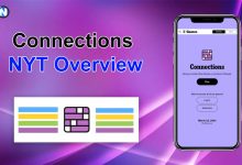 Connections NYT Overview