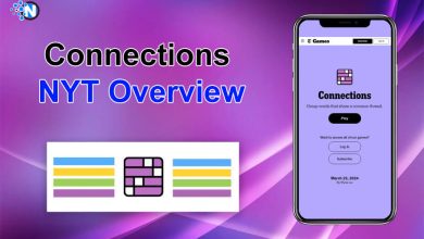 Connections NYT Overview
