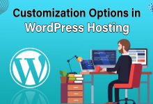 Customization Options in WordPress Hosting