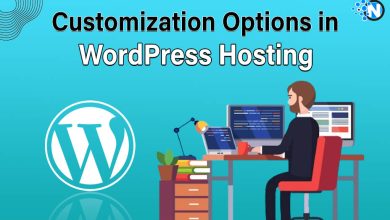 Customization Options in WordPress Hosting