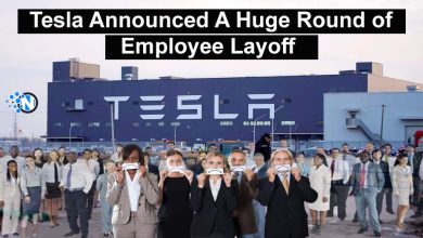 Tesla Announced A Huge Round of Employee Layoff