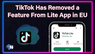 TikTok Has Removed a Feature From Lite App in EU