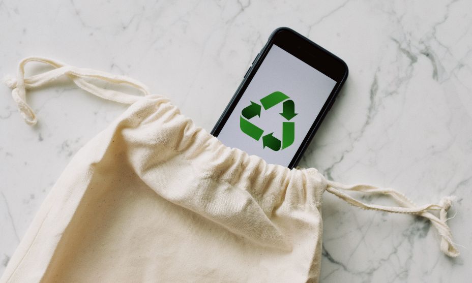 The Rise of Eco-Friendly eCommerce