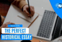 Basics To Write A Perfect Historical Essay