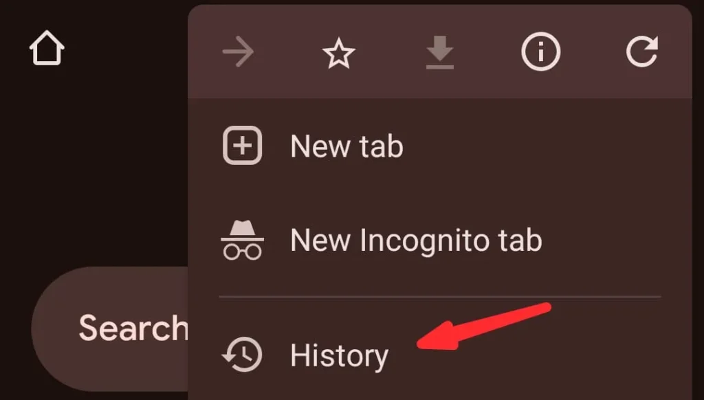 Choose the History option