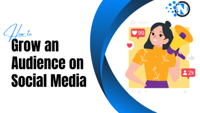 How to Grow an Audience on Social Media