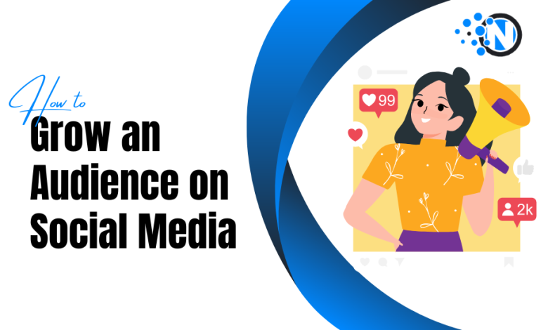 How to Grow an Audience on Social Media