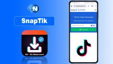SnapTik website interface on a mobile phone showing how to download TikTok videos without watermarks.