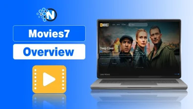 Movies7 Overview