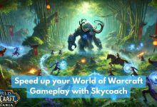 Speed up your World of Warcraft Gameplay with Skycoach