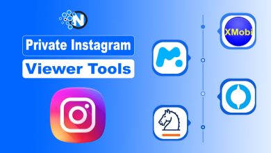 Private Instagram Viewer Tools