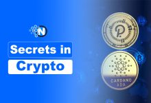 Emerging Digital Currencies