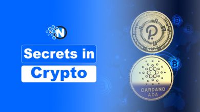 Emerging Digital Currencies
