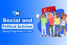 Online Social and Political Activism in Turkey