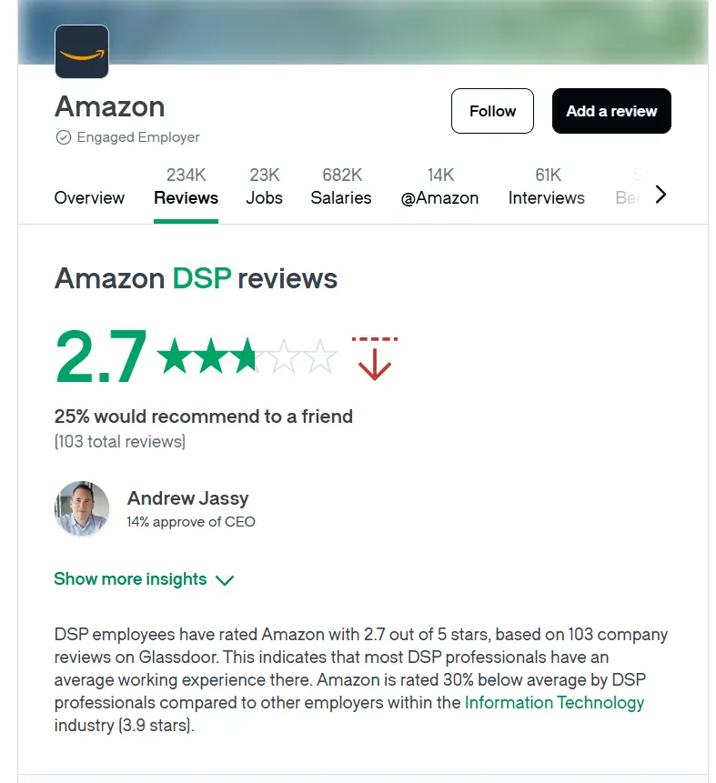 Amazon DSP Program Reviews
