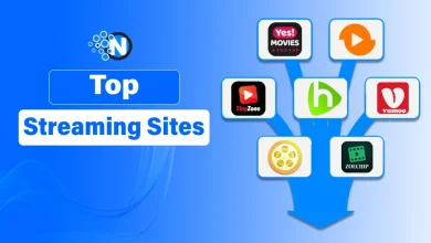 Top Streaming Sites
