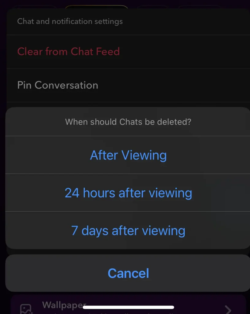 Message Disappearing