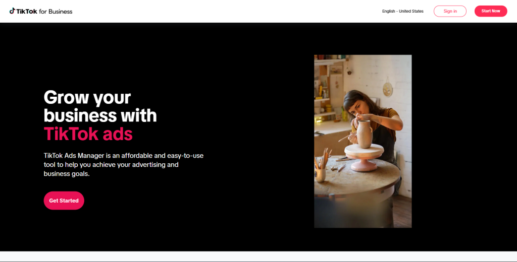 screenshot of tiktok for business platform used to run tiktok ads