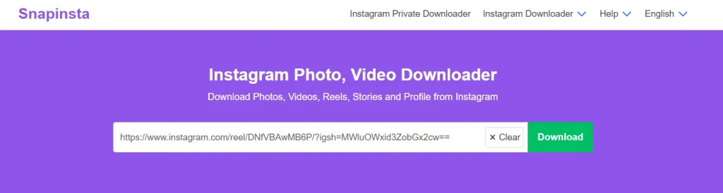 Snapinsta homepage interface showing URL pasted in the given space to download content