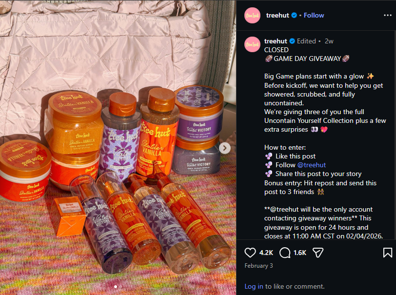 screenshot of a instagram giveaway campaign from Treehut