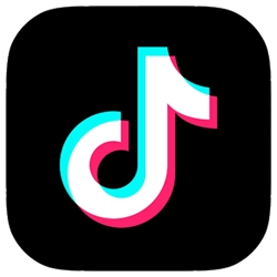TikTok Logo