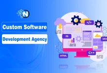 Custom Software Development Agency