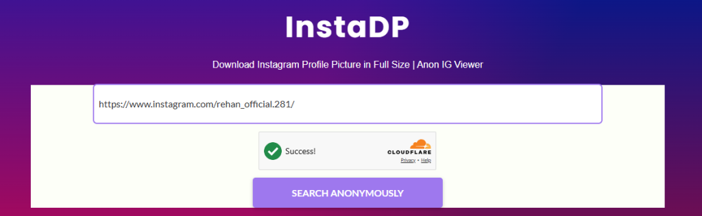 Screenshot of instagram profile link pasted in the viewer by NogenTech.org