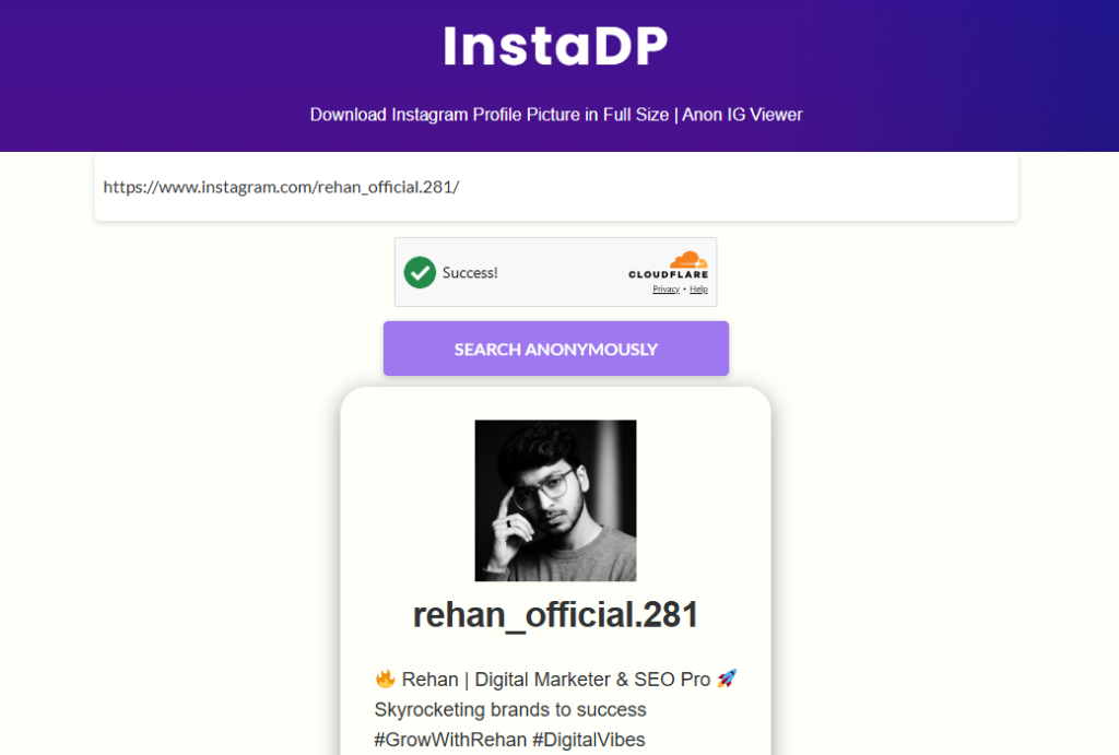 Screenshot of instagram profile details showing by instadp and captured by nogenTech