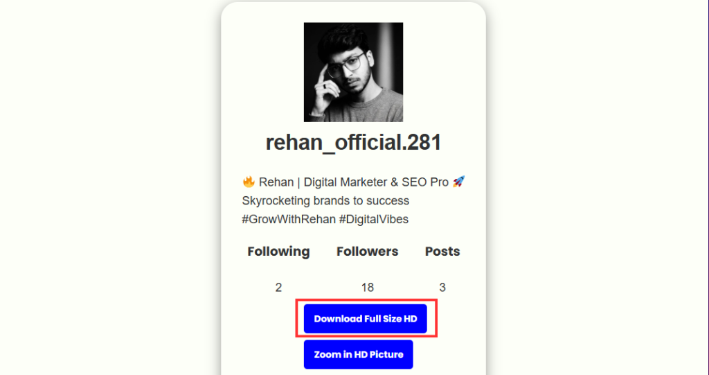 Screenshot of showing instagram profile download content options captured by NogenTech.org