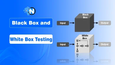 Black Box and White Box Testing