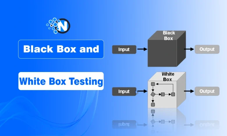 Black Box and White Box Testing