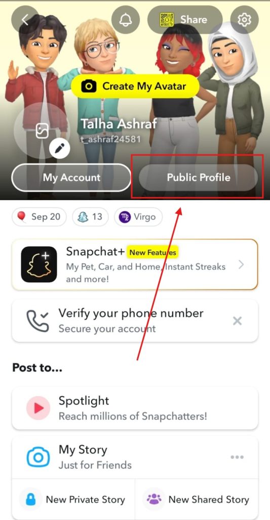 Screenshot showing my account and public profile options on snapchat by nogenTech
