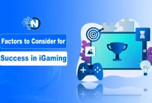 Factors to Consider for Success in iGaming